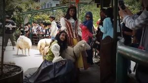 Berwisata Sambil Bermain Dengan Hewan Ternak #1