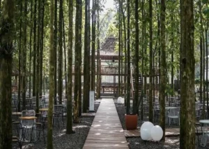 Deretan Kafe di Bogor yang Posisinya Dekat dengan Pintul Tol