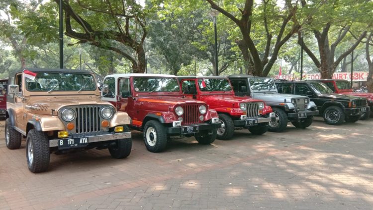 Ilustrasi mobil tua yang cocok untuk investasi. Foto: Carmudi