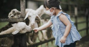 Rekomendasi Tempat Wisata Edukasi di Bogor, Lengkap dengan Jam Operasional dan Alamatnya