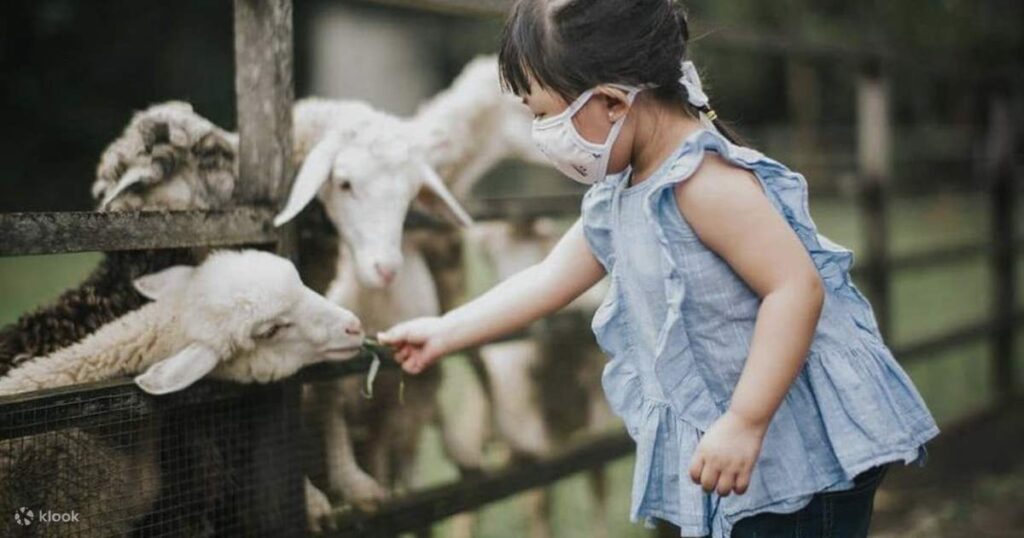 Rekomendasi Destinasi Wisata Edukasi Anak di Bogor, Dijamin Langsung Bahagia