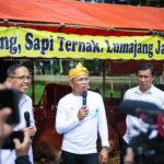 Pj Wali Kota Bogor, Hery Antasari saat meninjau Bursa Hewan Qurban (BHQ) di Lapangan Pusat Standardisasi Instrumen Peternakan dan Kesehatan Hewan (PSIPKH). Foto: Pemkot Bogor