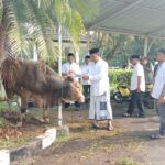 Pj Bupati Bogor Asmawa Tosepu saat menyerahkan hewan kurban kepada panitia kurban. Foto: Pemkab Bogor