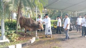 Pemkab Bogor Bagikan 120 Hewan Kurban ke Sejumlah Masjid dan Pondok Pesantren