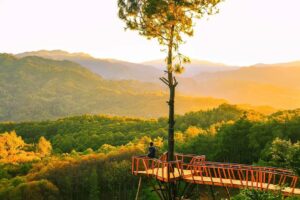 Gaskeun Yuk, Ini Daftar Hidden Gem di Bogor yang Murah Meriah Sampai Gratisan