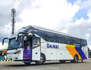 Damri Luncurkan Rute Baru Depok-Bandara Soeta, Info Tarif dan Jadwal Lengkapnya Cek di Sini!