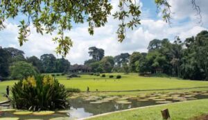 5 Kawasan Wisata di Kota Bogor Yang Bisa Dikunjungi Pada Libur Isra Mi’raj dan Imlek 2025