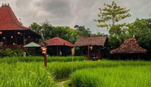 Catat Nih, 8 Rekomendasi Kuliner di Bogor yang Lagi Hits