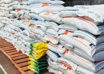 Malaysia Ngelirik Stok Beras, Indonesia Ogah Latah Lepas Cadangan