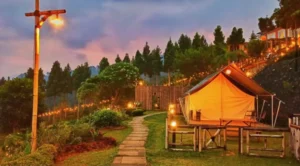 Pas Buat Kencan, Tempat Wisata di Bogor yang Lagi Hits Ini Patut Dikunjungi