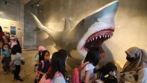 Rekomendasi Tempat Wisata Viral di Bogor, Lengkap dengan Harganya