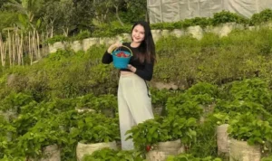 7 Rekomendasi Destinasi Wisata Gratis di Bogor untuk Long Weekend Ini