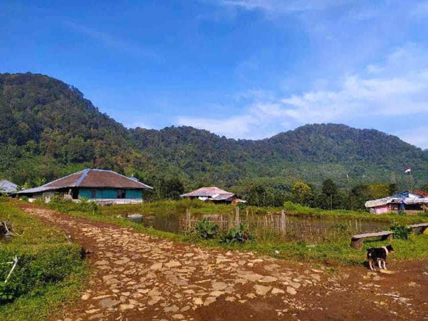 Bisnis Nggak Harus di Kota, Desa Juga Bisa Cuan!