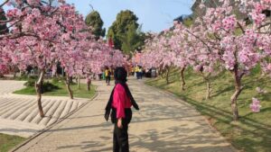 Informasi Wisata Healing di Bogor yang Bikin Stres Kamu Lenyap Seketika, Lengkap dengan Harganya