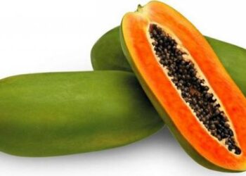 No Debat! Rajin Makan Pepaya Bisa Mencegah Penyakit dari Asma Sampai Kanker