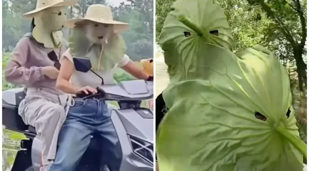 Tren Kecantikan Baru, Tiktokers Asal China Pakai Masker Daun Teratai Jadi Viral