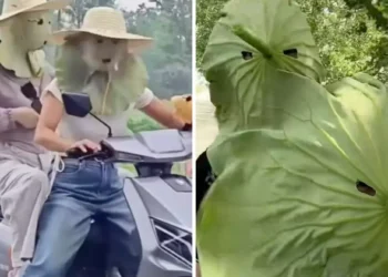 Tren Kecantikan Baru, Tiktokers Asal China Pakai Masker Daun Teratai Jadi Viral