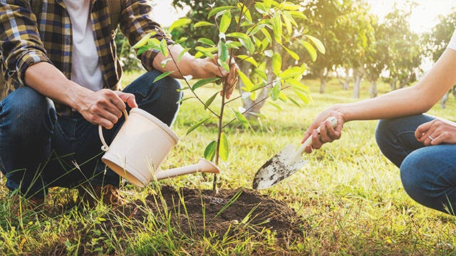 Nikah Hijau ala Cibitung Wetan: Sebelum Sah, Wajib Tanam Pohon!
