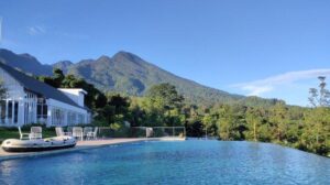 Catat Lokasinya, Rekomendasi Hotel di Bogor dengan Pemandangan Alam Terbaik