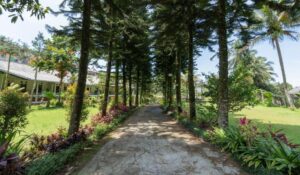 Harga Cuma Rp 100 Ribuan! Ini Dia 10 Penginapan Murah di Puncak, Liburan Hemat Rasa Mewah