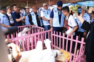 Domba Adu Gaya, Inovasi Alat Canggih Unjuk Gigi di Hari Peternakan Nasional ke-189 di Kabupaten Bogor