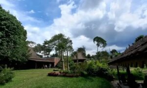 Rekomendasi 7 Tempat Makan Pagi di Puncak Bogor dari Tradisional hingga Modern