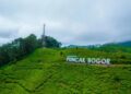 Rekomendasi 5 Destinasi Wisata Instagramable di Puncak Bogor dengan View Cantik
