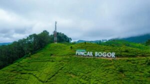 Jelajahi Keindahan Puncak Bogor Bersama dengan Destinasi Wisata Alam Hingga Kulinernya