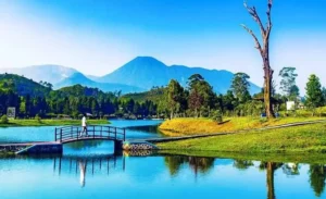5 Destinasi Wisata Instagramable di Puncak dengan View Cantik