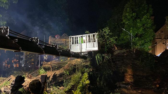Penanganan Pohon Beringin Raksasa di Jalan Kapten Muslihat yang Tumbang Selesai Pagi Ini