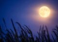 Supermoon Terbesar 2025: Bulan Bakal Nempel ke Mata Malam 5 November