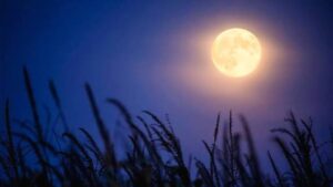 Supermoon Terbesar 2025: Bulan Bakal Nempel ke Mata Malam 5 November