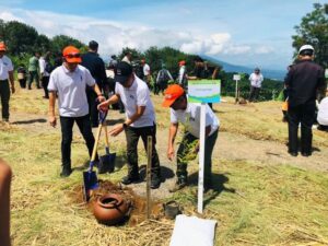 BNPB Tancap Gas Tanam 216 Ribu Pohon, Targetkan Ciliwung Lebih Waras dan Bebas Banjir