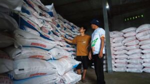Harga Pupuk Turun 20 Persen, Petani Jonggol Kegirangan: Sekarang HET Padi Juga Mantap!