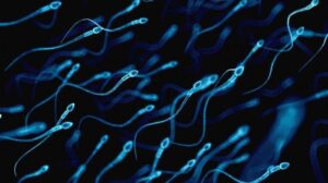 Penelitian Baru Ungkap Infeksi Covid-19 Bisa Bikin Sperma Lemah, Kaum Adam Sedih