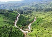 Alam Dijaga, Perut Terisi: Strategi Kabupaten Bogor Bangun Daerah sampai 2045