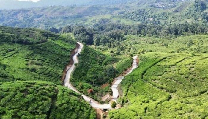 Alam Dijaga, Perut Terisi: Strategi Kabupaten Bogor Bangun Daerah sampai 2045