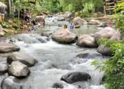 10 Rekomendasi Tempat Wisata di Sentul Bogor untuk Liburan Akhir Tahun, Dijamin Seru dan Enggak Bikin Bosan!