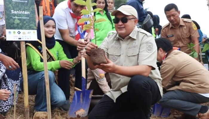 Setiap Kecamatan Wajib Punya Hutan Kota, Bupati Bogor Gaspol Program Tanam Pohon
