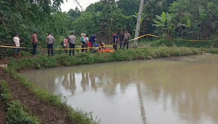 Niat Cari Udang, Warga Tajurhalang Malah Temukan Mayat Bayi di Kolam
