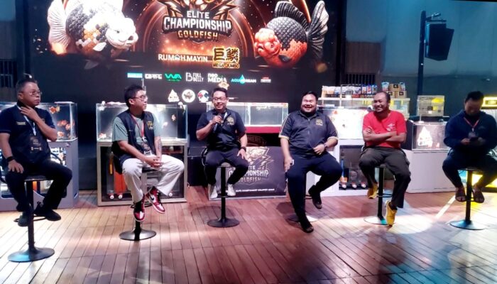 Groomers Elite Championship Goldfish Dorong Industri Ikan Mas Koki Berdaya Saing di Skala Internasional