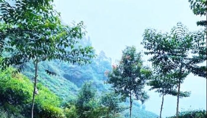 Tak Mengejar Angka, Bupati Bogor Pilih Melayani: Infrastruktur Lama Disisir, Jalan Malasari–Sukabumi Mulai Dibuka