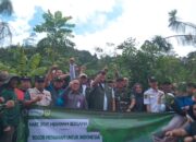 KLH dan Pemkab Bogor Dorong Pemulihan Hulu Ciliwung Lewat Gerakan Menanam