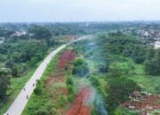 Jalan Bomang Jadi Fokus Baru Penghijauan Skala Besar Pemkab Bogor