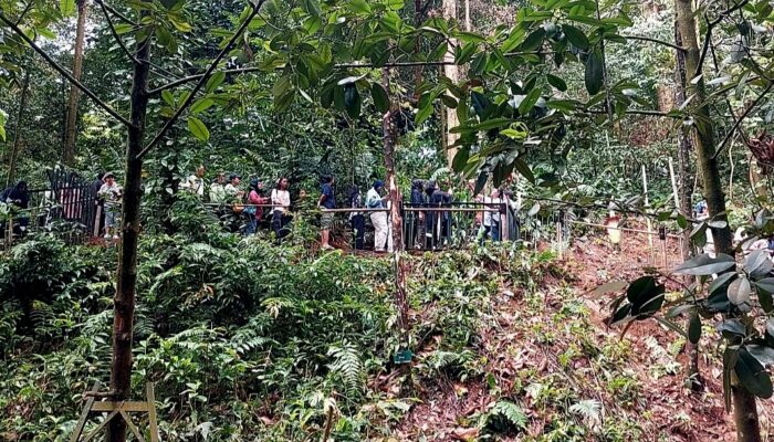 Momen Langka, Pengunjung KRB Antusias Saksikan Bunga Bangkai Mekar Sempurna