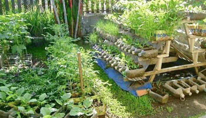 Antisipasi Pasokan Global, Pemkab Bogor Imbau Warga Tanam Pangan di Pekarangan Rumah