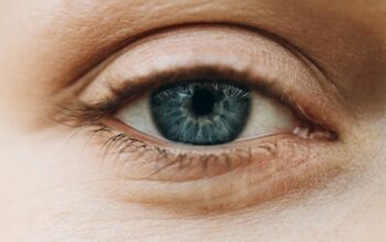 Bukan Cuma Wortel, 5 Buah Ini Juga Punya Nutrisi Penting untuk Kesehatan Mata