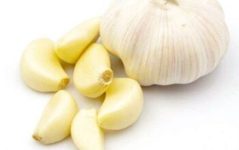 Bawang Putih Mentah Ternyata Simpan Khasiat Besar, Cukup Satu Siung Bisa Jadi Andalan Harian