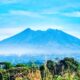 7 Gunung yang Viral di Bogor untuk Pendaki Pemula, Jalur Mudah dan Pemandangannya Bikin Nagih