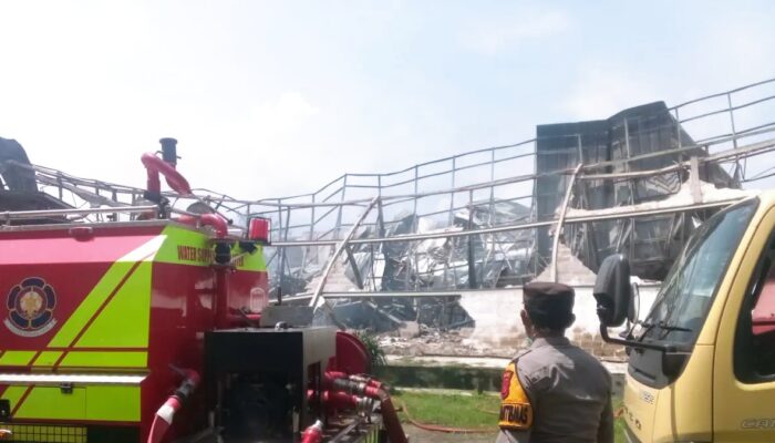 Kandang Ayam di Ciseeng Ludes Terbakar, 150 Ribu Ekor Mati, Kerugian Capai Rp15 Miliar